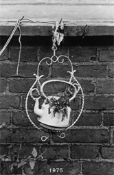 pannu